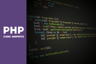 fix and develop any website in codeigniter or core php