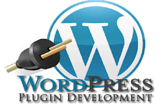 write wordpress plugin scripts