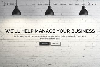 build you modern wordpress website and setup hosting