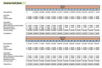 do financial forecast, projection of your business setup