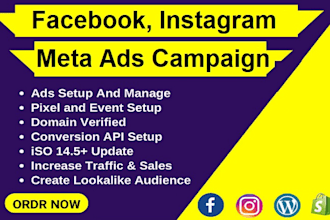 be your facebook, instagram, meta ads campaign manager, marketing expert