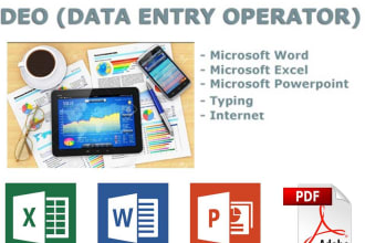 provide accurate data entry web research file conversion