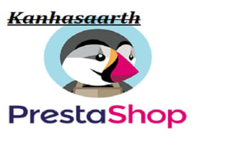 do anything in prestashop like customize website and theme, debug and many more