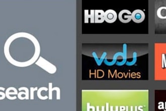 create private netflix like channel for roku