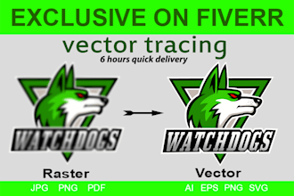 vector tracing or sketch to vector illustration in 3 hours