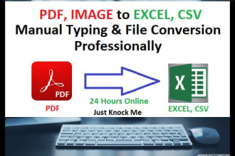 convert pdf to word, pdf to excel or CSV manual typing