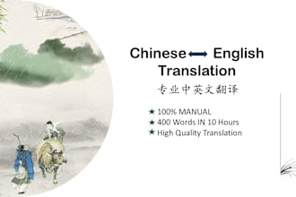 provide professional chinese and english translation service