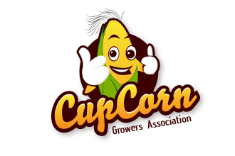 do unique mascot and cartoon character logo design