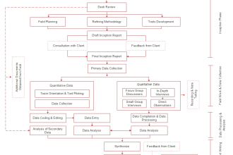 design professional flow charts and diagrams within one day