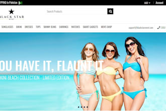 professional shopify store design and development