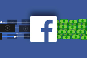 be your expert 1 on 1 facebook ads consultant, fb advertisement coach
