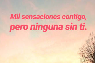 suggest 5 titles for your book in spanish