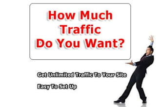 send you more than 2000+ unique adsense safe real GEO targeted traffic to any website category of your choice