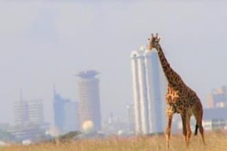 provide a detailed review of places to visit in kenya