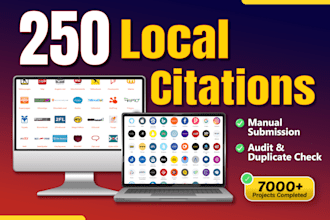 build 250 local citations manually with audit and duplicate check