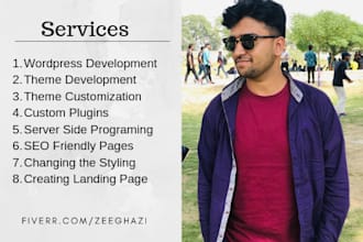 be your wordpress developer