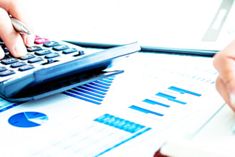 provide professional bookkeeping and accounting service