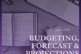 do budgeting and projections for you