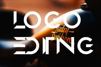 redesign,modify, redraw,edit,update or enhancing your logo