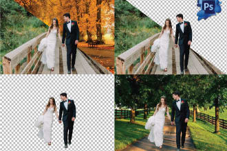 do  remove background, edits, face swap professionally