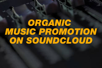 promote you track on soundcloud via big fanbase
