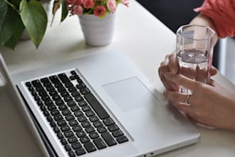 translate from Chinese to English professionally