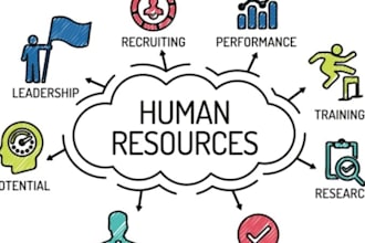 do international business, supply chain management, and hrm tasks