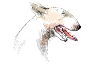 drawn a highly detailed sketch, illustration in black