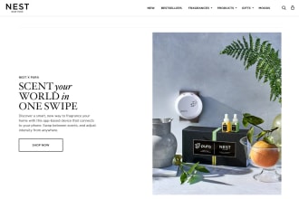 create a professional shopify store for your business