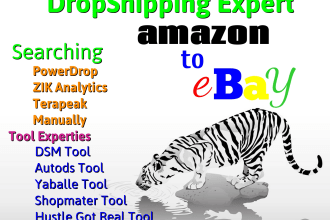 do amazon to ebay dropshipping top listings