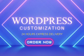 do website customization, install wordpress, and theme setup