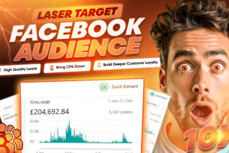 research laser target high profit audience for facebook ads
