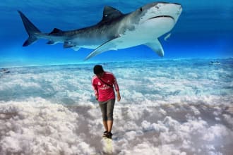 do a simple and interesting photoshop manipulation