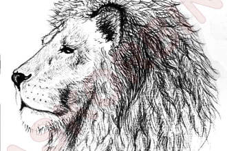 create a hand drawn illustrations for you