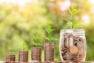 do money reiki healing sessions for 365 days