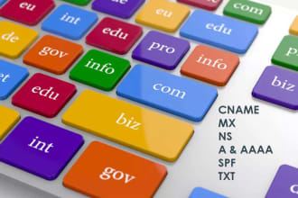 configure domain and dns services