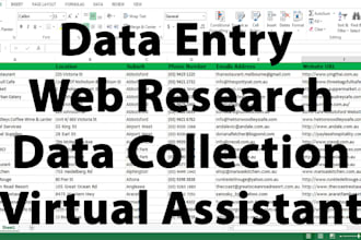 do fastest data entry web research copy paste work