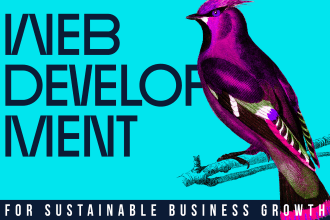 perform custom web development