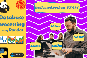 python program for data processing and reports with pandas