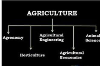 do the agriculture related task, projects, problems and plans professionally