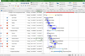 create gantt chart and project plans in ms project
