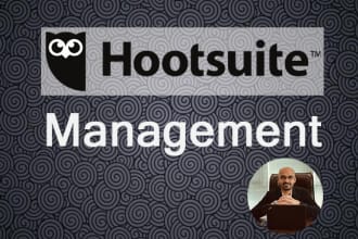 professionally manage hootsuite for you