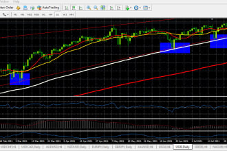 do the technical and fundamental  analysis for trading forex