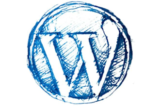 install wordpress, themes and plugins and will modify your blog/website as per your needs and will also provide u with basic seo tips