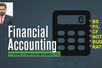 make financial statements, budgets and business plans