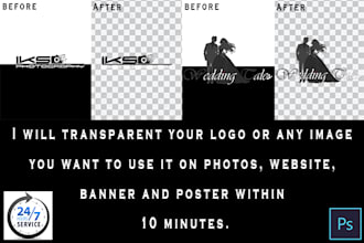 transparent your logo background