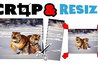 crop or resize 50 images