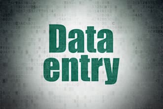 do excel data entry in 4 to 6 hour
