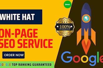 effective on page SEO service guaranteed google top ranking