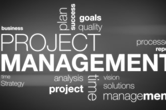 do all project management and scrum master work